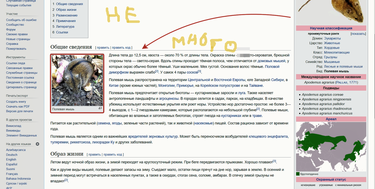 Когда не знаешь какую фотографию вставить: