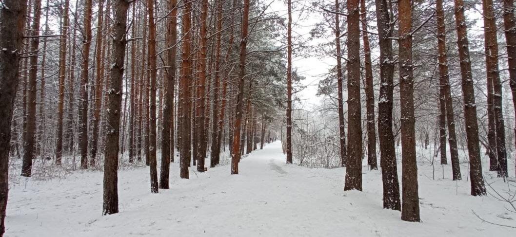 фото: ИА "Тюменская линия"