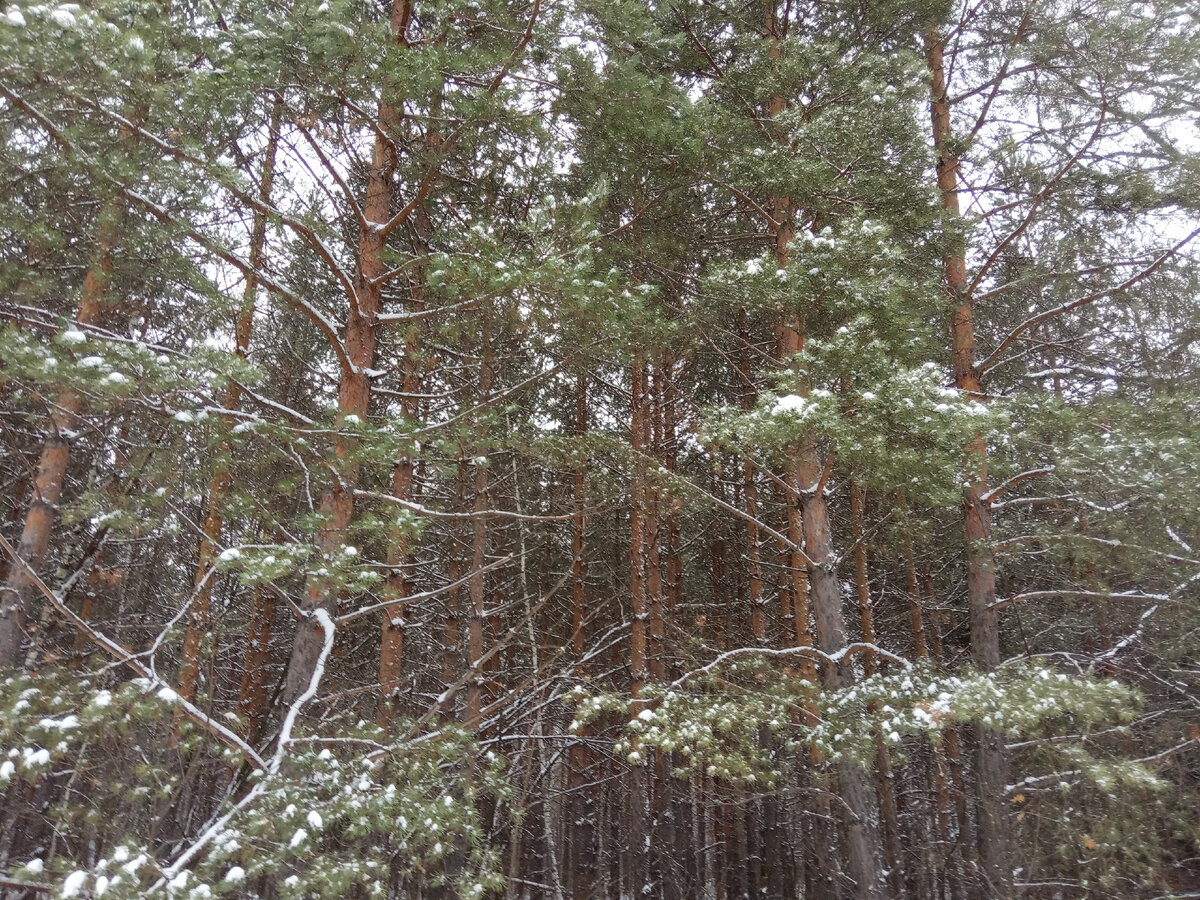 Фотография из личного архива автора