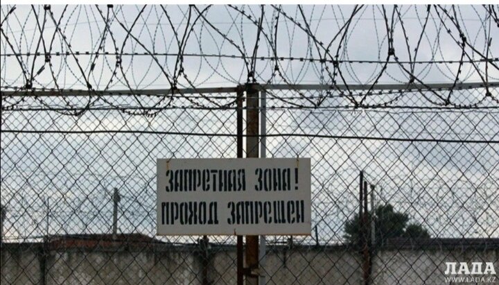 Фото из интернета. 