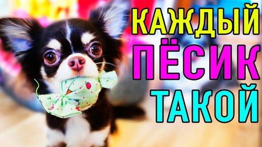 Тарелки - купить в Максидоме | Выгодные цены, доставка