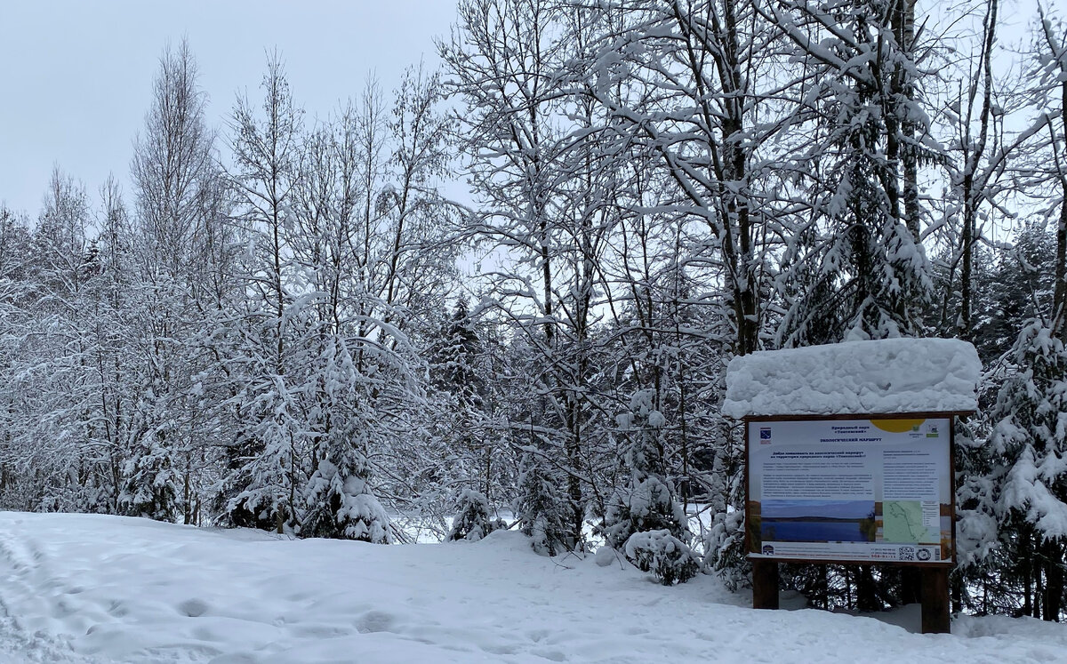 Недалеко от посёлка Токсово во Всеволожском районе Ленинградской области есть экомаршрут «Малиновая гора». Он проходит в природном парке «Токсовский» по берегу озера Кавголовское.