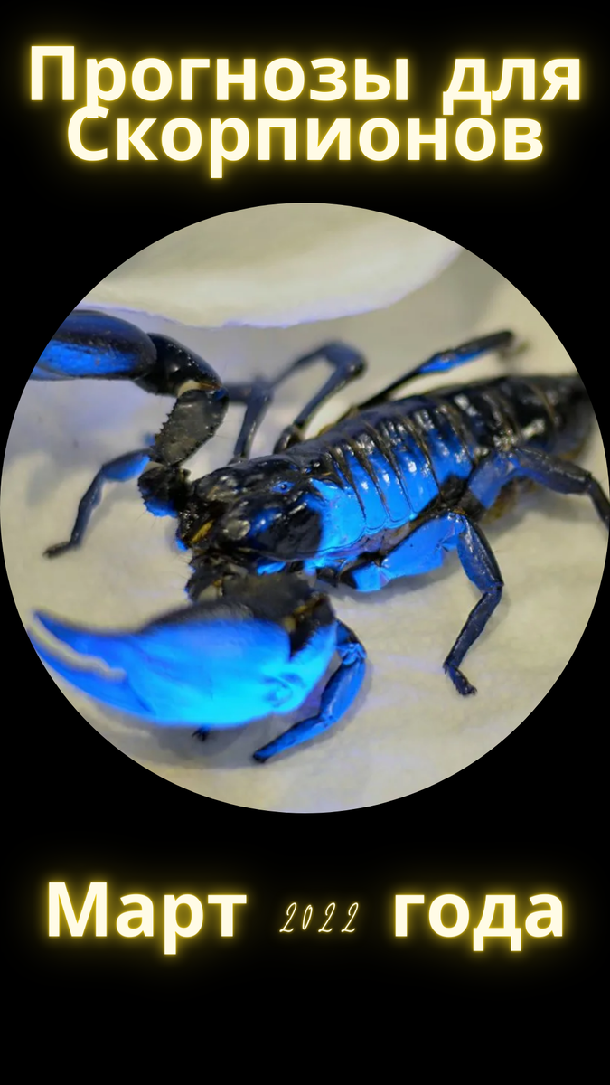 Астрологические прогнозы для Скорпионов на март 2022 года
