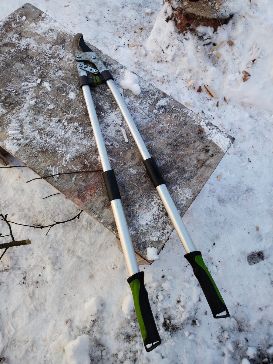 Наш помощник.