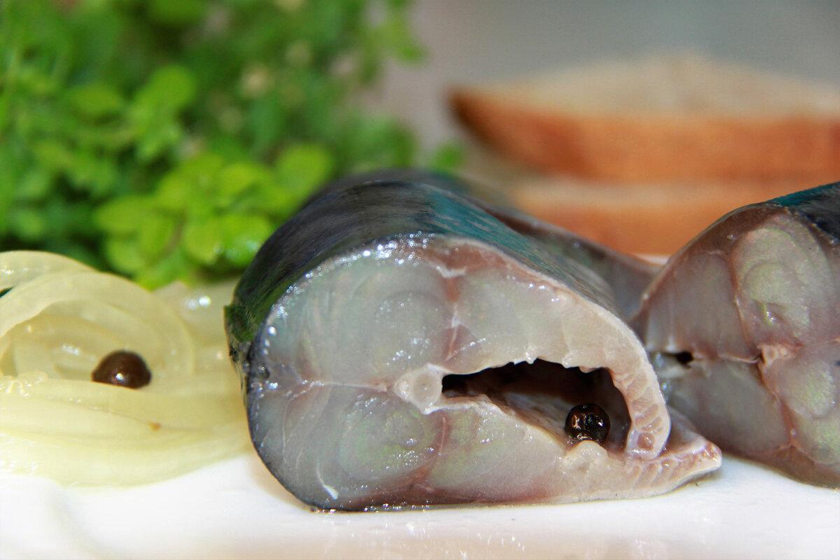 Скумбрия маринованная с луком. Скумбрия маринованная по домашнему. Замариновать скумбрию. Скумбрия в маринаде с луком и уксусом.