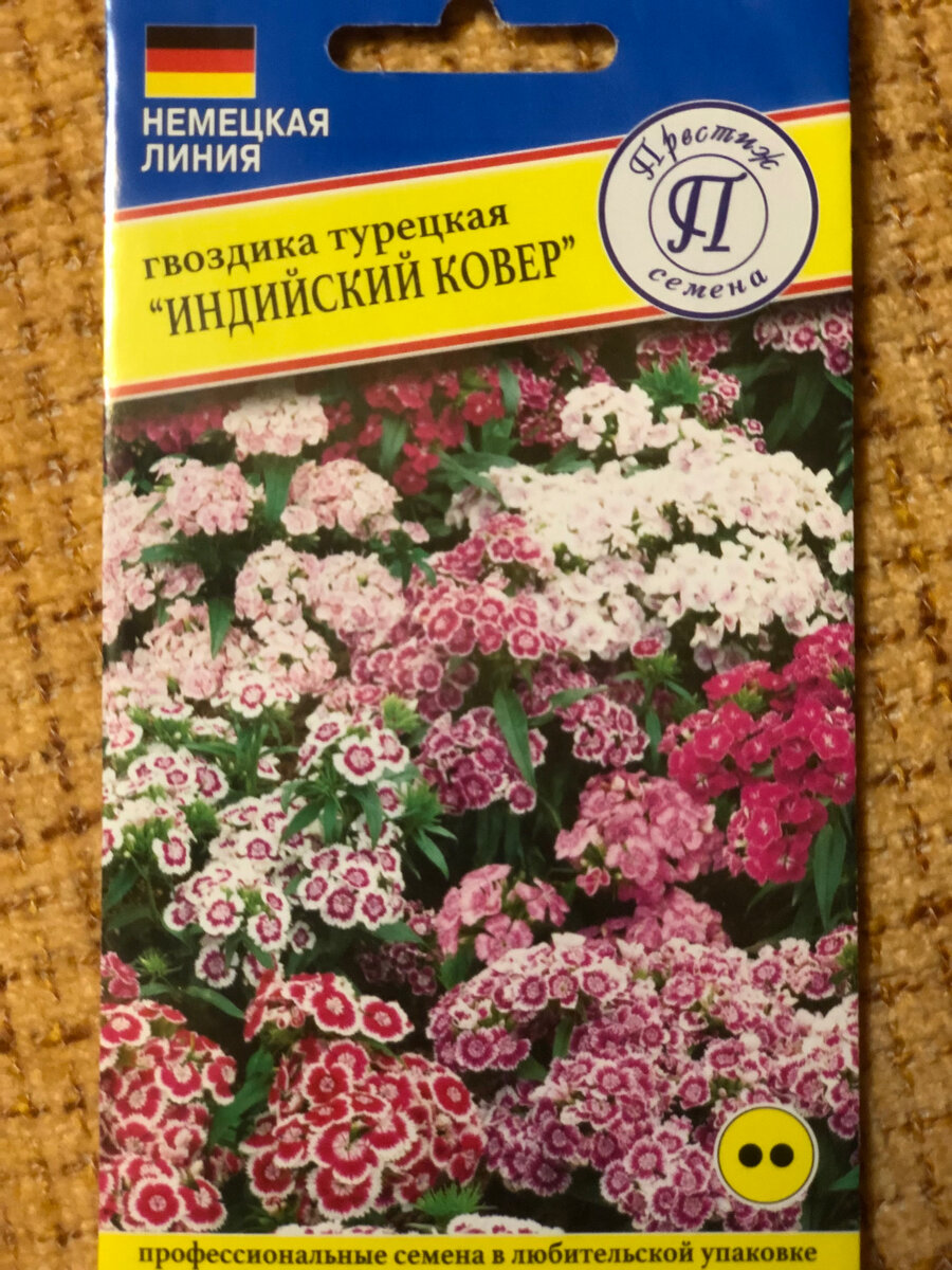 И цветок не тот вырос, да еще и однолетником похоже оказался. | Городские в  деревне | Дзен