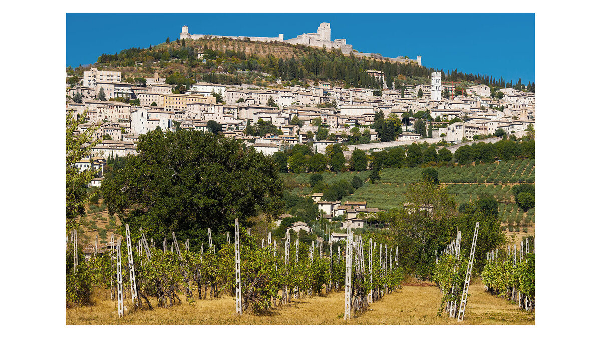    " Кипр© fotolia.com / krefografie