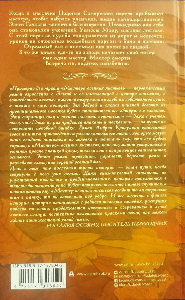 На обороте книги есть отзыв Натальи Осояну, писателя и переводчика. И я совсем не представляю как написать более точное описание прочитанного мной.