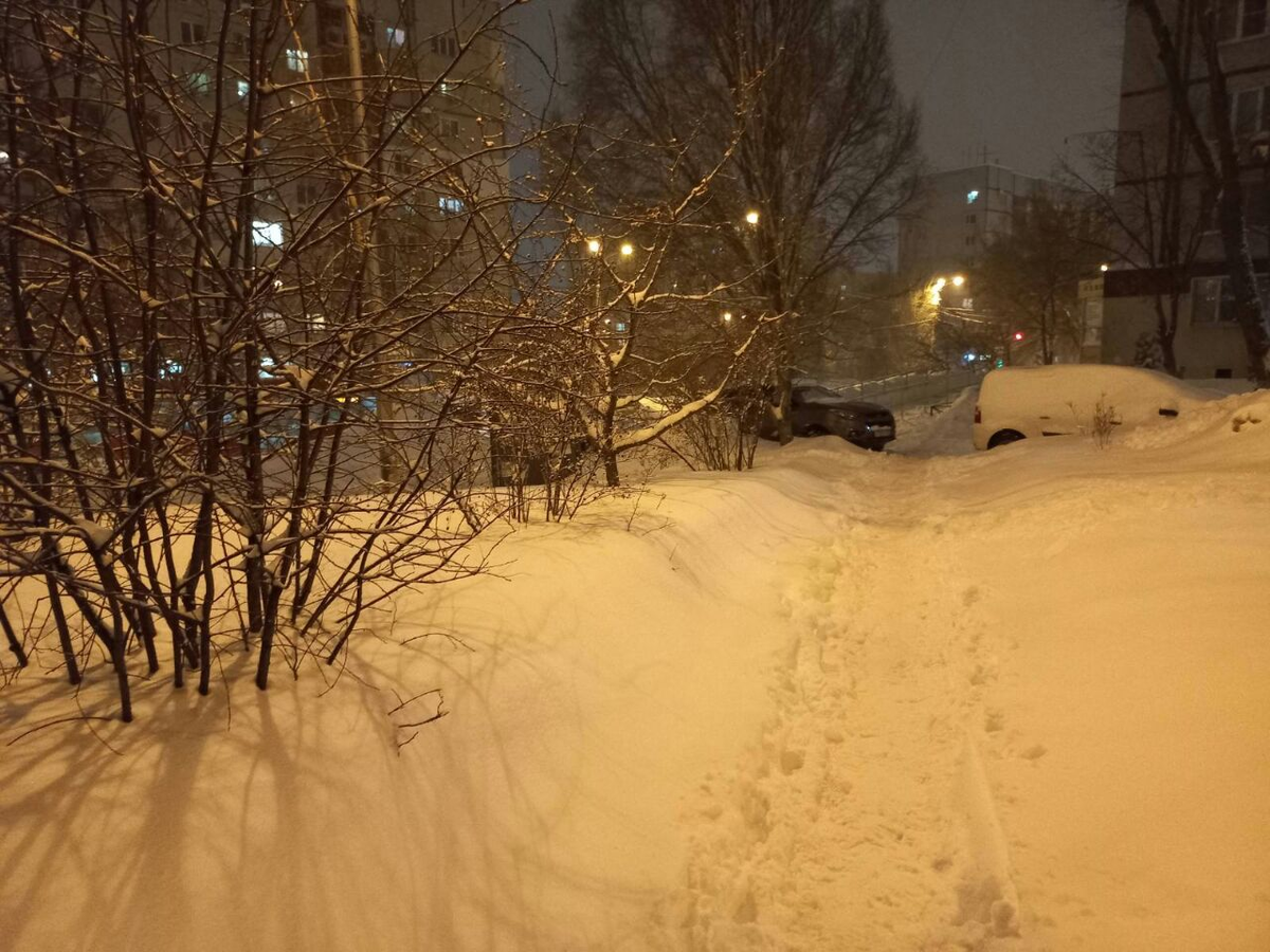 Фото автора.