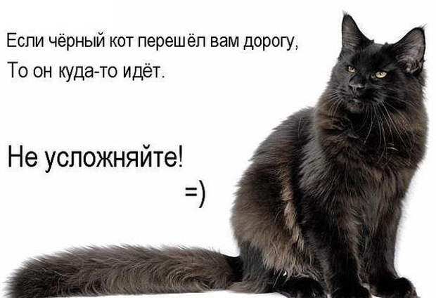 Picture background