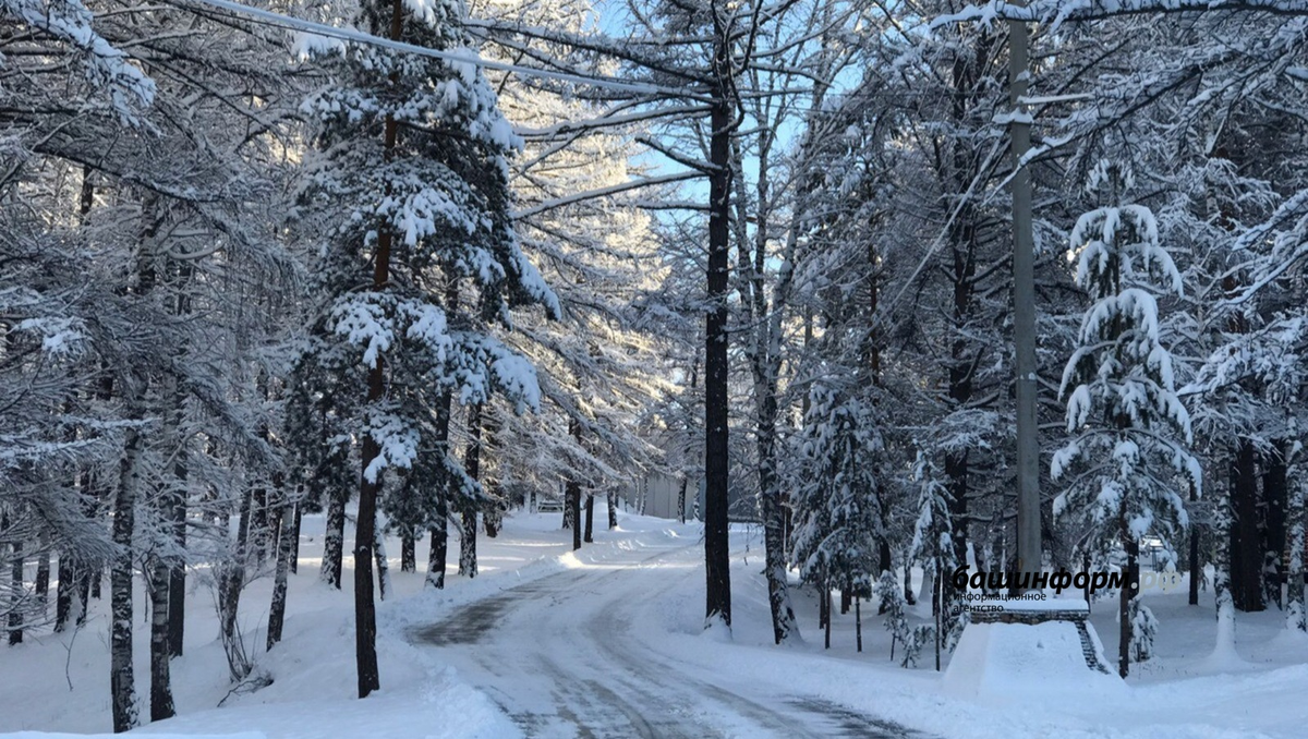 Фото: Ксения Калинина