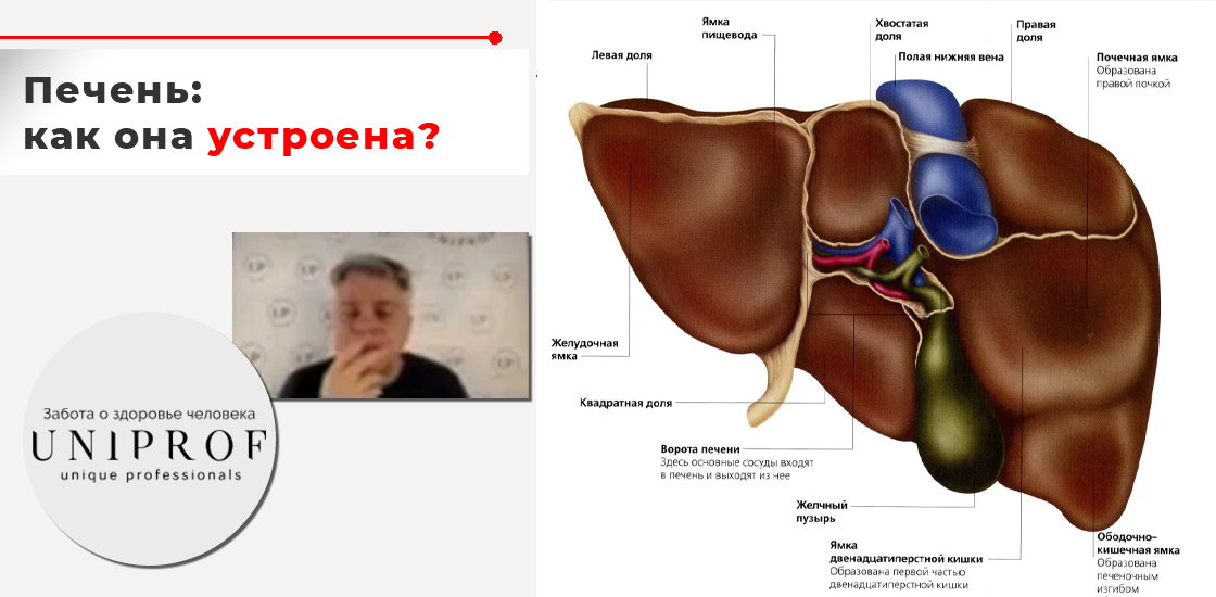 Гепатомегалия печени