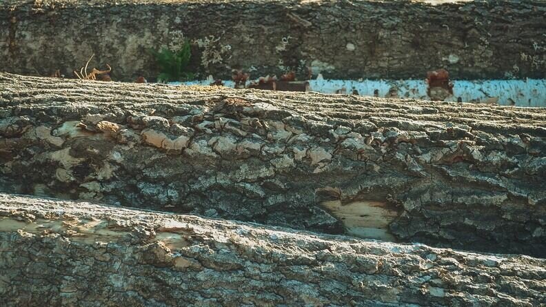     Под Петрозаводском произошел несчастный случай с местным жителем во время укладки бревен. СК возбудил уголовное дело по факту случившегося.