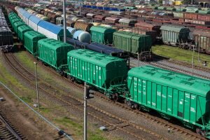    Фото: agriecomission.com Наталья Анисеева