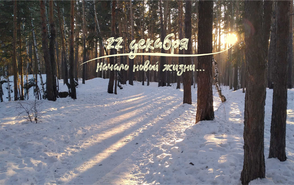 Зимнее закатное солнце дарит лучи позитива!