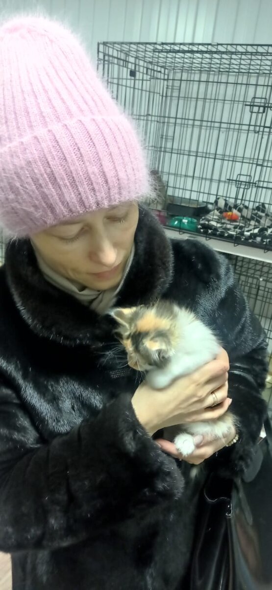 Кнопочка с новой хозяйкой