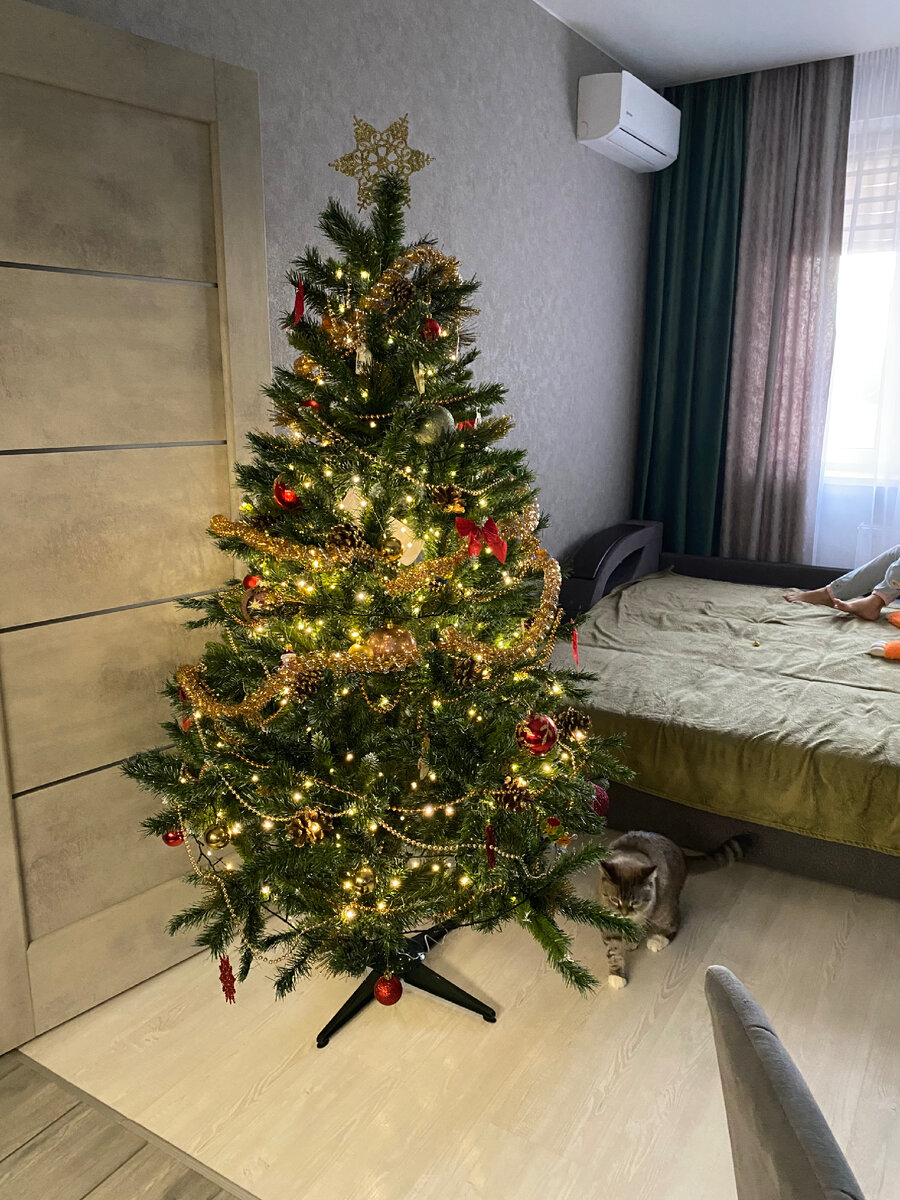 Наша елочка