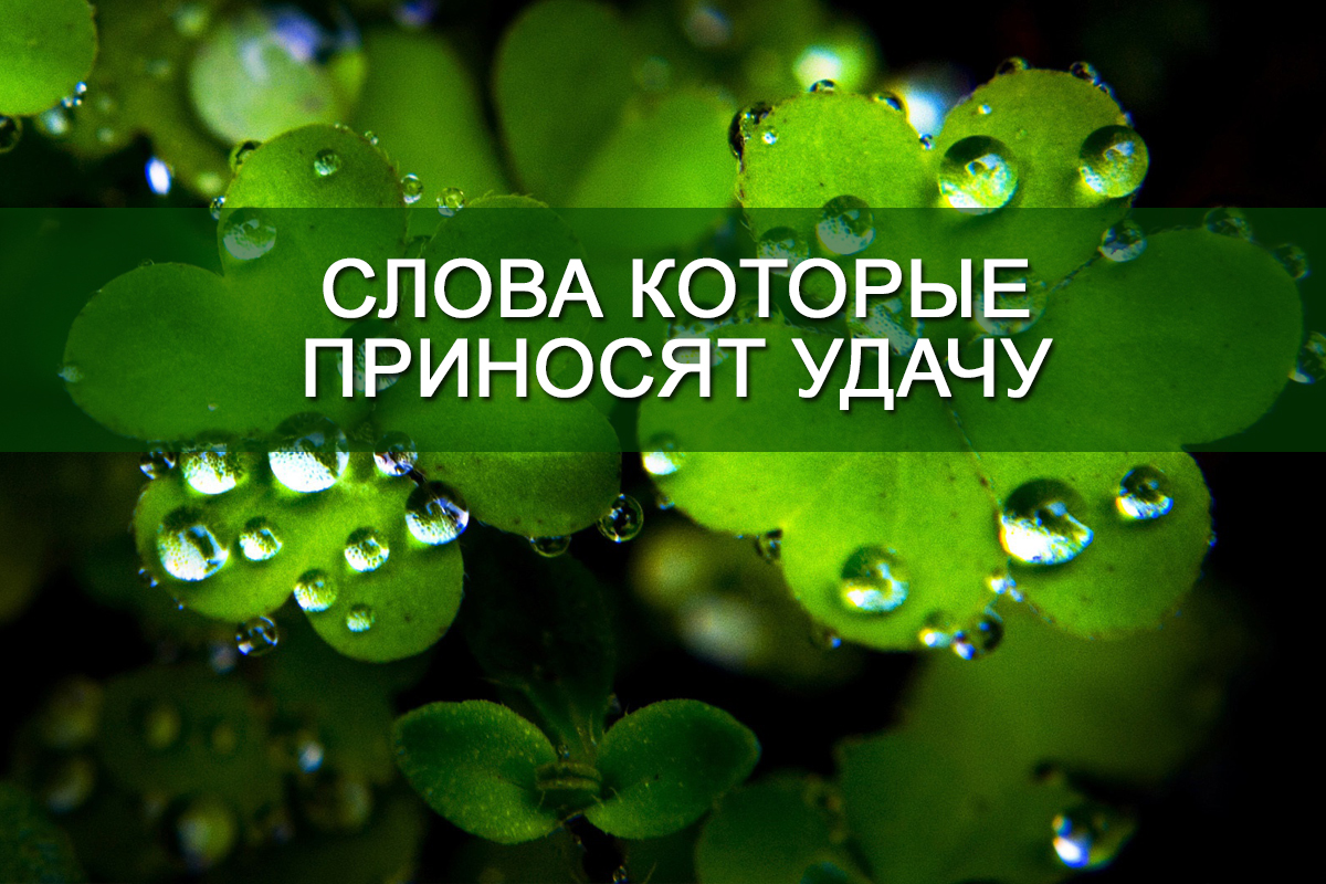 Слова приносящие деньги. 10 Слов которые притягивают счастье. Слова приносящие удачу. Слова привлекающие удачу. Слова для привлечения удачи.