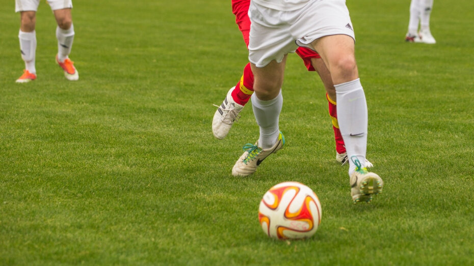   Автор фото: pxhere.com