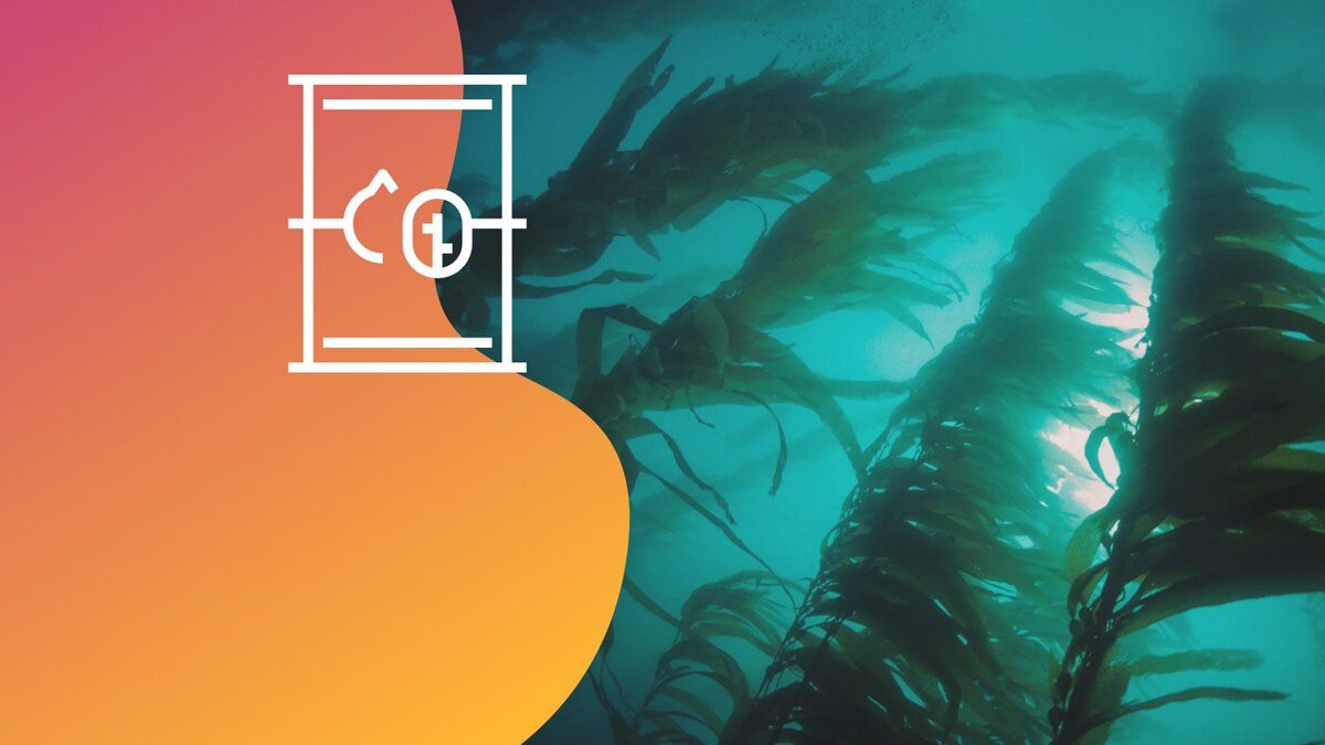 Коллаж: медиацентр УрФУ.