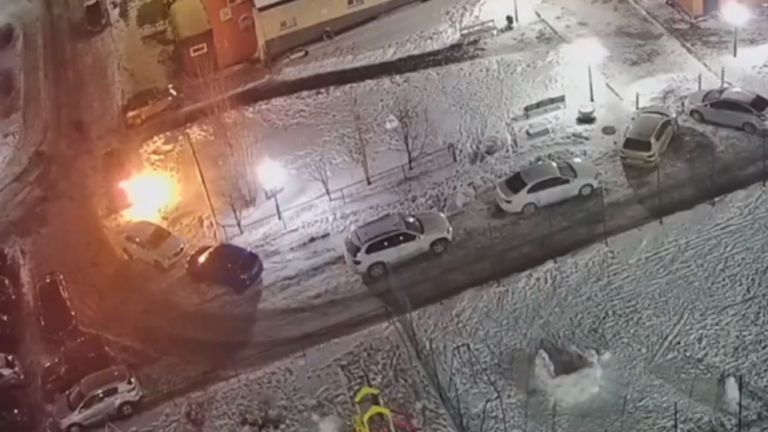    В Оренбурге полиция разыскивает ночного поджигателя «Тойоты» на Салмышской Марина Шарт