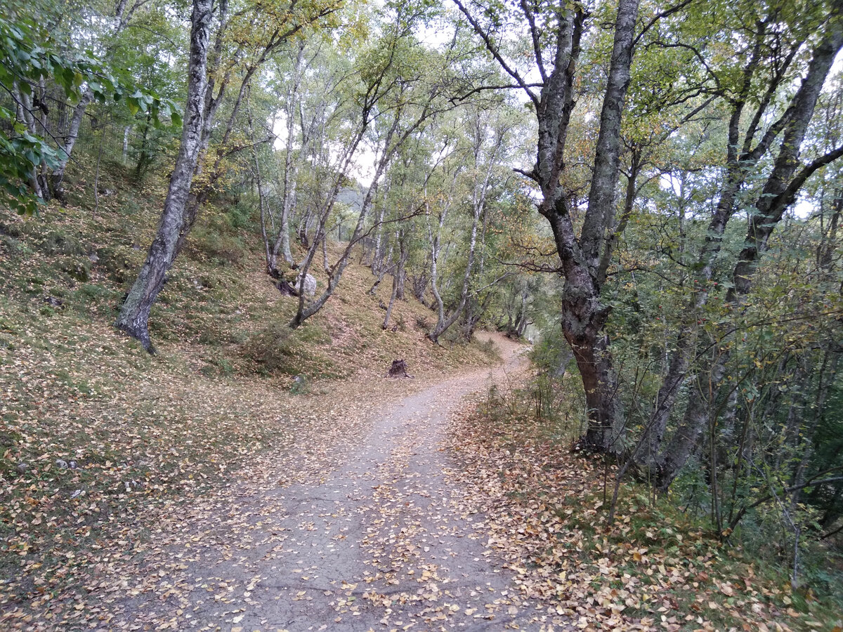 Тропинка в Парке Верхний Гуниб в Дагестане