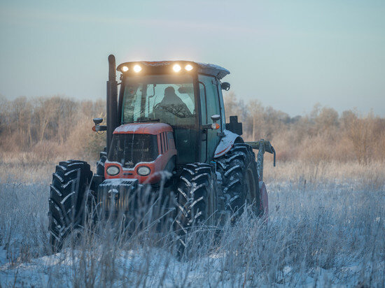     Фото: архив ПЛН