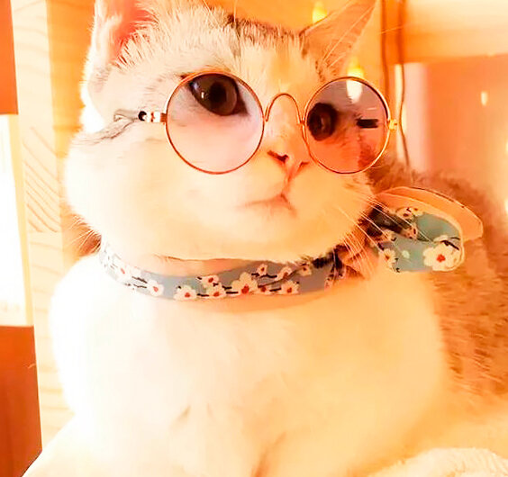 Фото из pinterest.ru