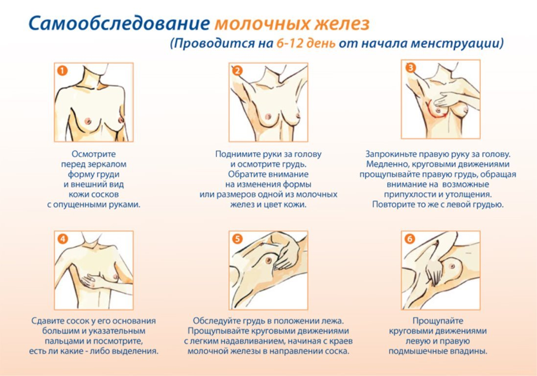 Самообследование молочных желез картинки