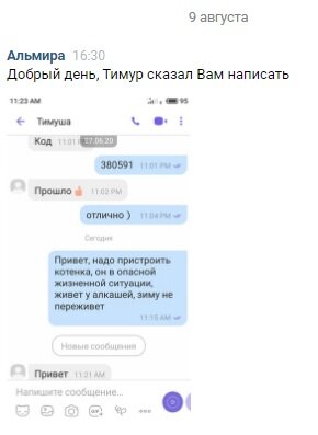 Кто такой Тимур и почему мне написать?