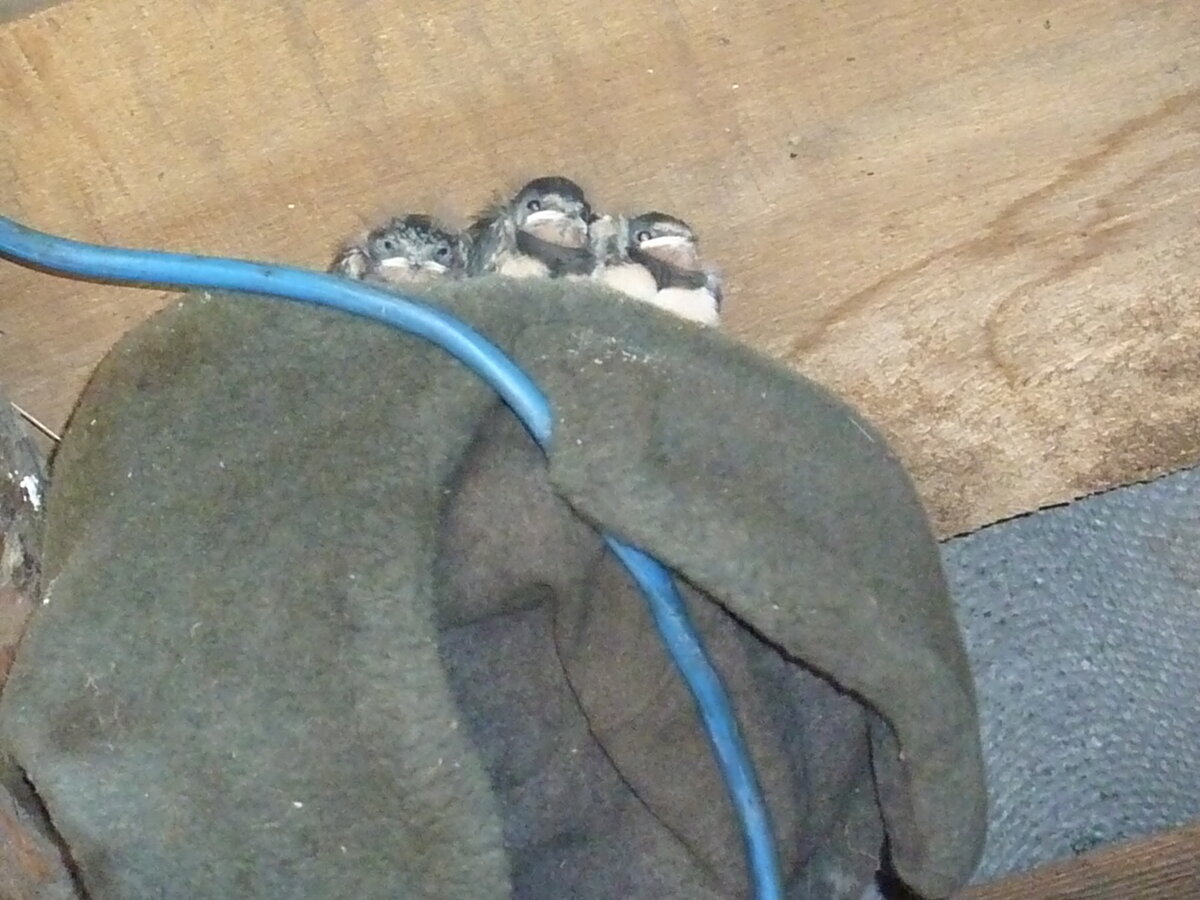 Фото автора.