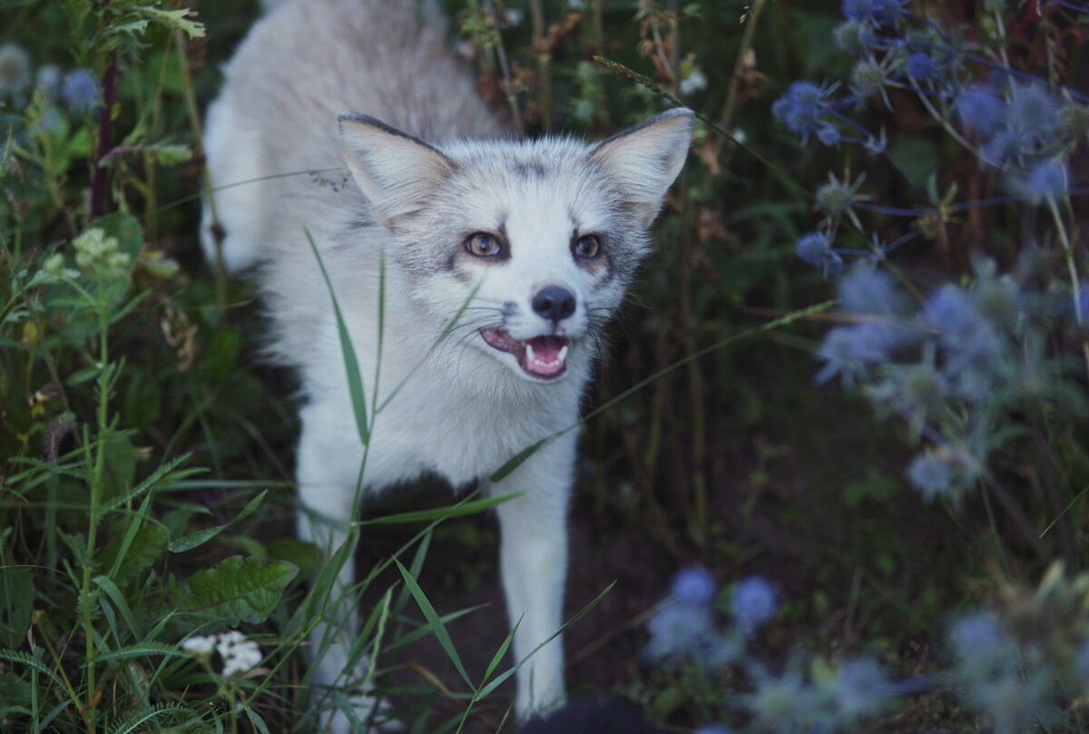 Фото: Дарья Пушкарёва