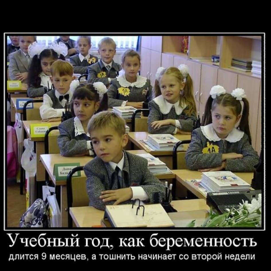 Юмор школа картинки