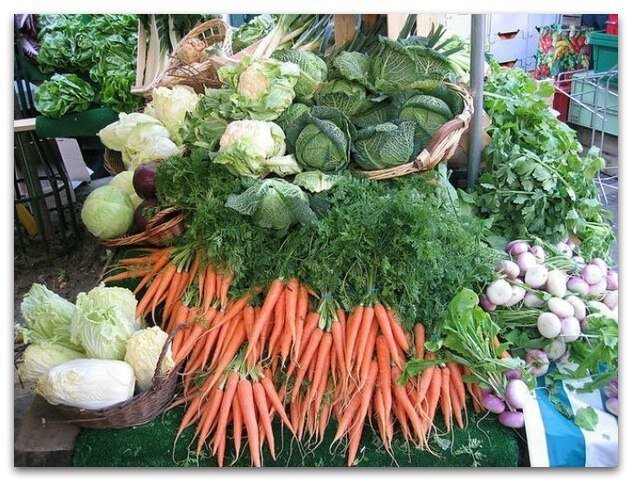 Следите за капустой Внимательно следим за капустой. Качеству ее кочанов большой вред могут нанести вредители. Против комплекса грызущих вредителей поздние сорта раз в 7-8 дней обрабатываем биологическими инсектицидами (лепидоцид). Азот из подкормок в августе исключаем, чтобы не способствовать накоплению нитратов. А вот калий капусте в это время только на пользу (древесная зола или калимагнезия, сульфат калия).Пожалуйста поставьте лайк и подпишись спосибо!!! 