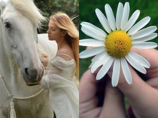 Фото - pixabay.com