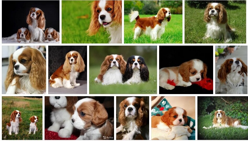 Фото из интернета