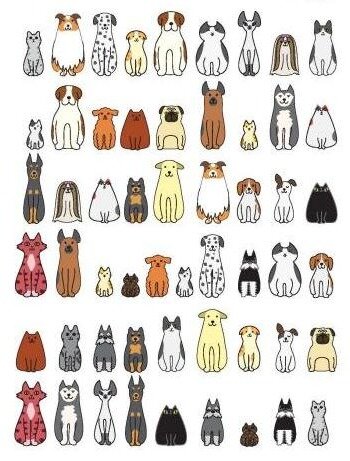 какое животное лишнее? 