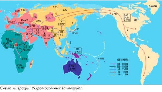 Так все же гаплогрупп,а не народов?(Яндекс Картинки\хабр.ком).