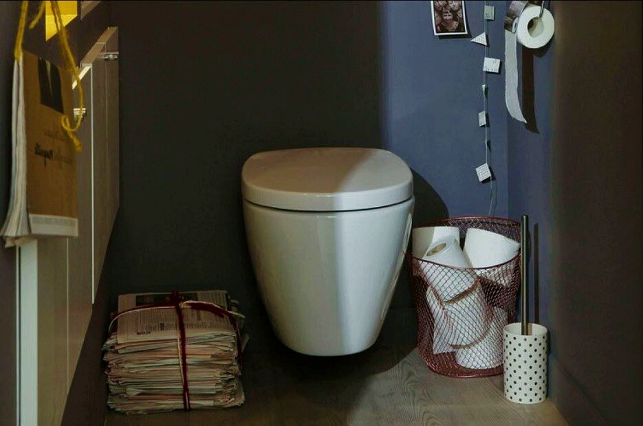 Фото — sanibroyeur.pro