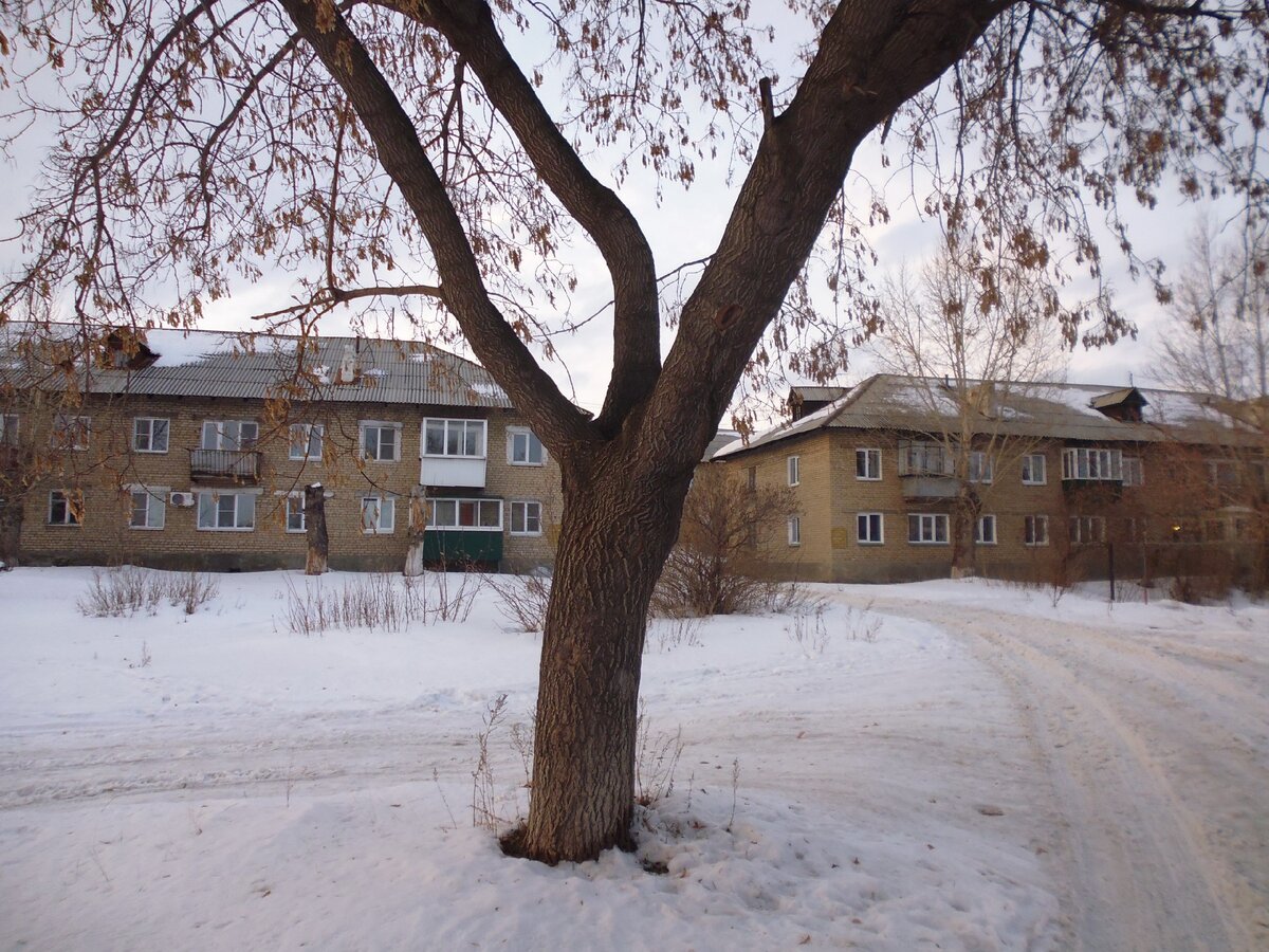 Доброго здравия, читатель!