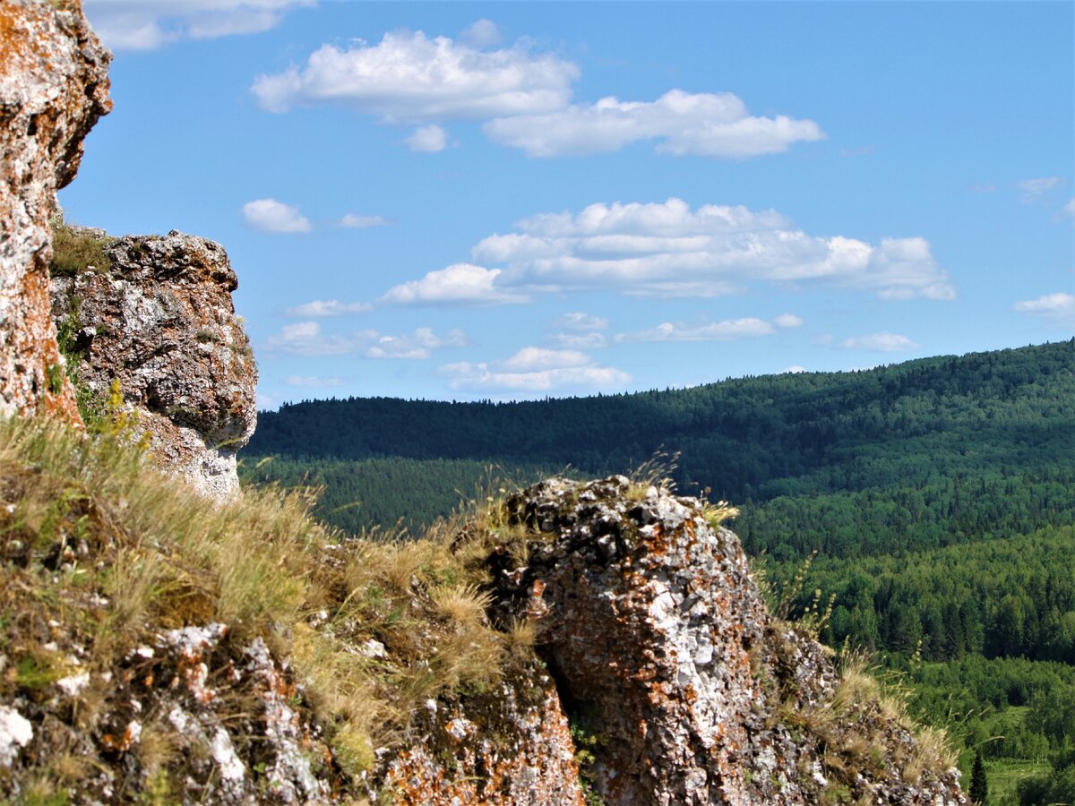 Что такое утес в торте