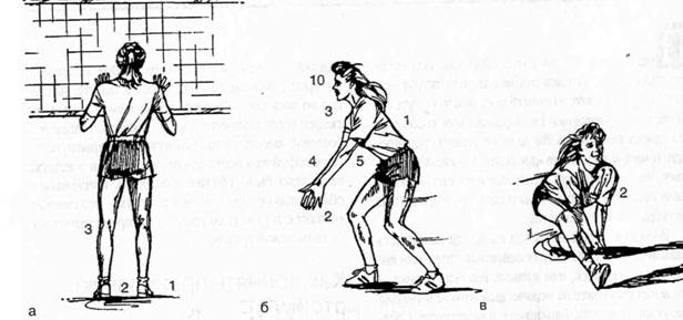 Какой должна быть исходная стойка игрока. Волейбол стойка волейболиста. Стойка игрока в волейболе. Стойка игрока перемещение в стойке в волейболе. Стойка волейболиста схема.