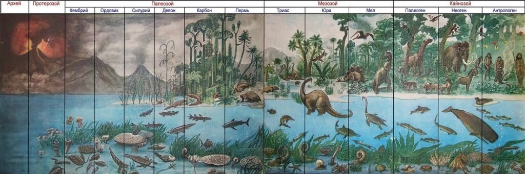 Эры Земли