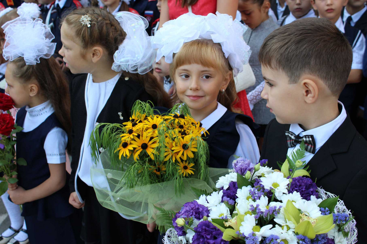 яндекс-картинки