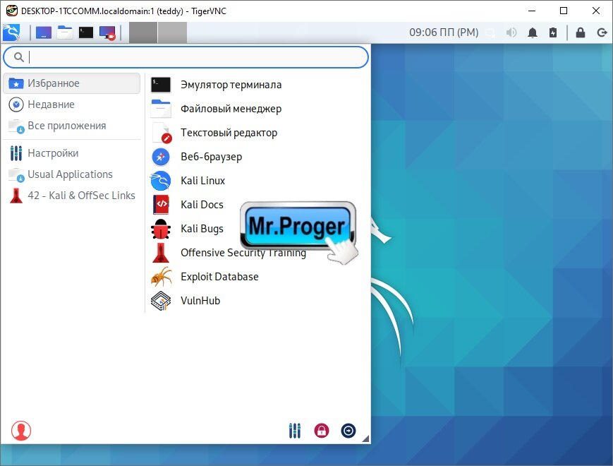 Графический интерфейс Kali Linux для Windows 10