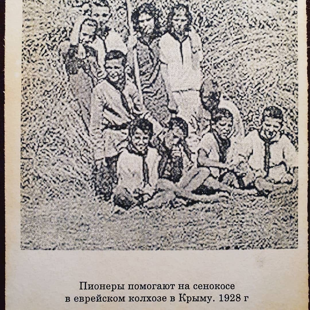 калининдорф еврейский колхоз 1930. еврейские колхозы. еврейские колхозы. еврейский колхоз картинки. евреи-колхозники.