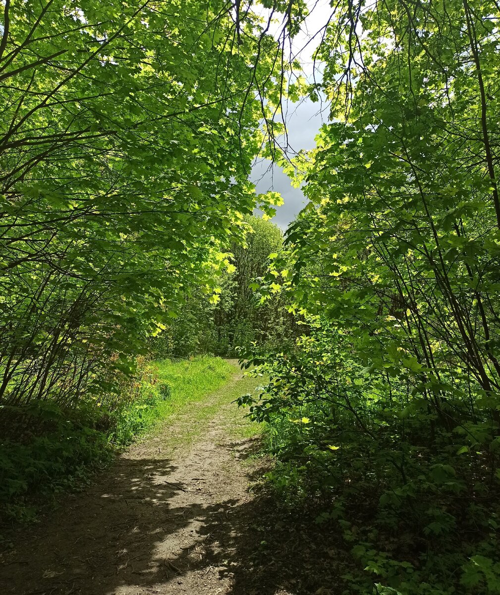 Природа тульского края