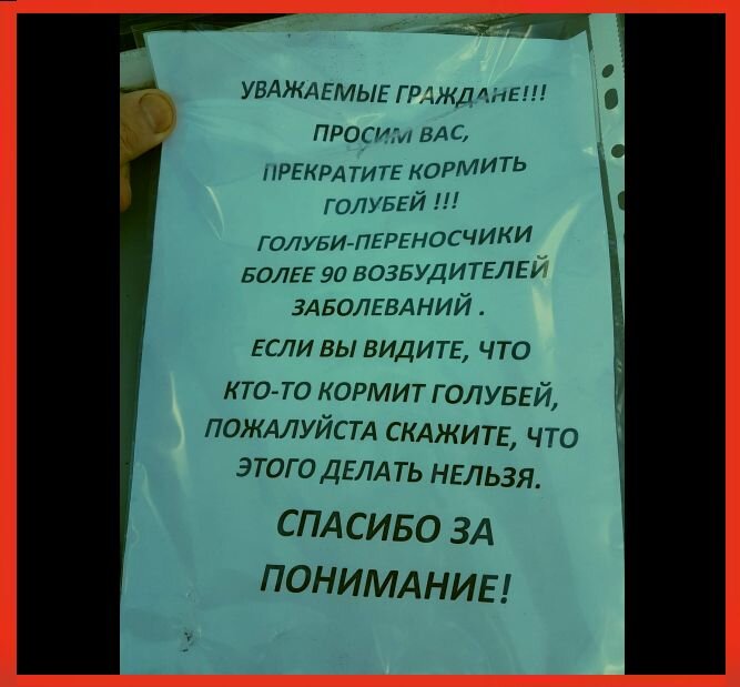 Объявления у магазина в Москве. Фото автора