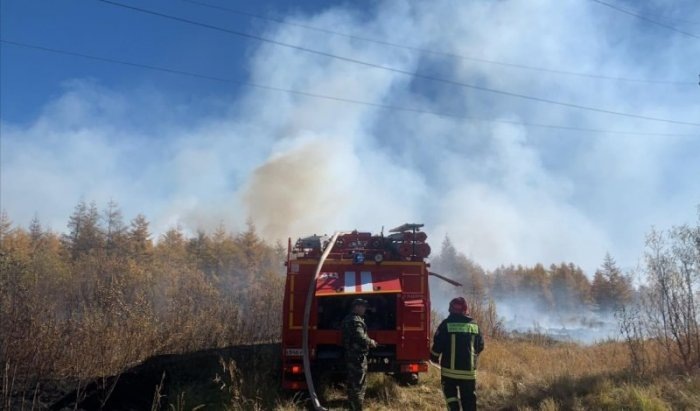 Населенному пункту огонь не угрожал