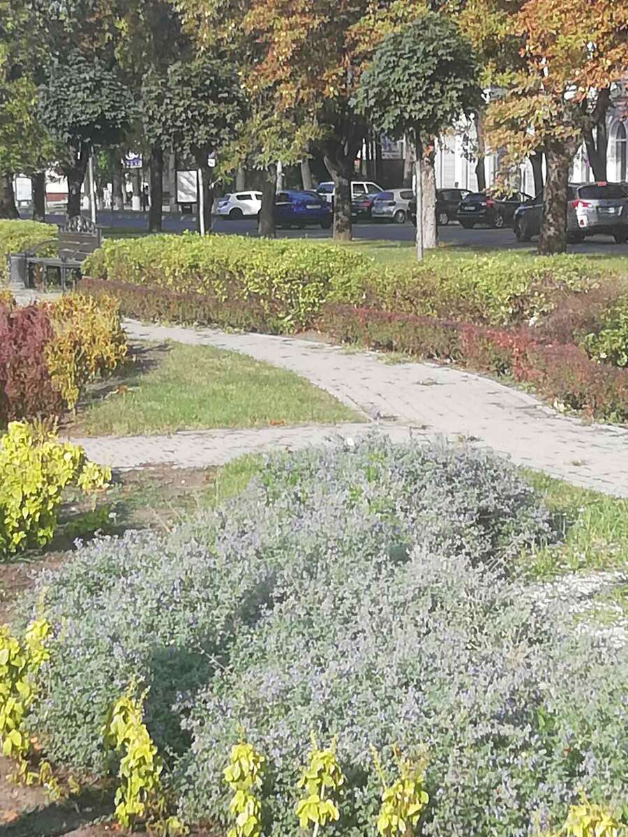 вот такие своротки, " дуги" отходят от основного, центрального,  тротуара